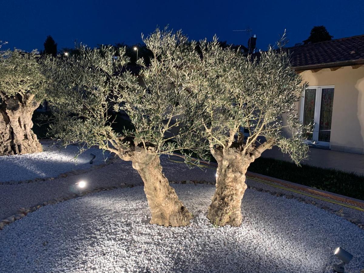 B&B Alciliegio Casnate Con Bernate Eksteriør billede